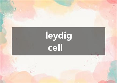 leydig cell是什么意思