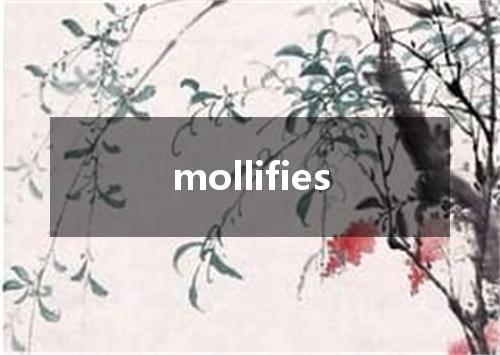 mollifies是什么意思