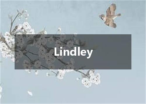 Lindley是什么意思