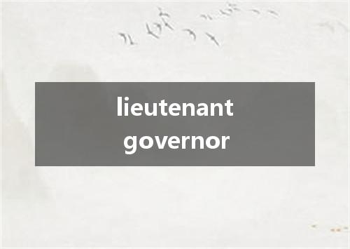 lieutenant governor是什么意思
