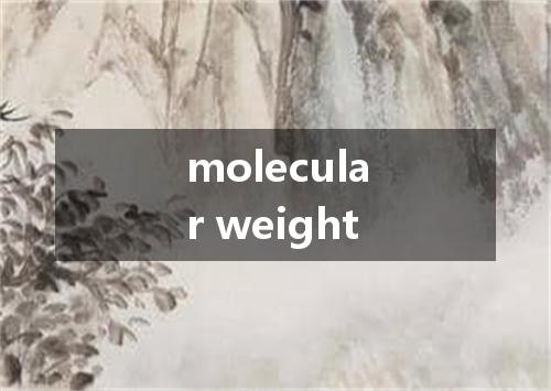 molecular weight是什么意思