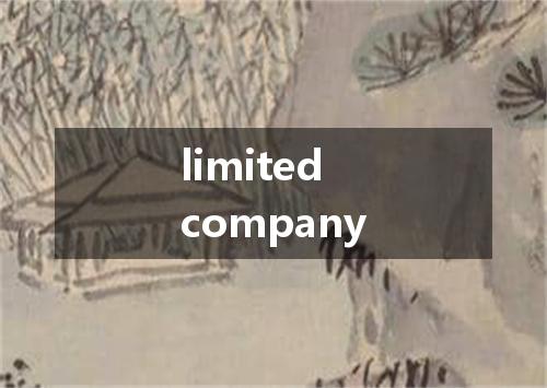 limited company是什么意思