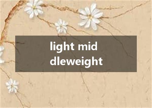 light middleweight是什么意思