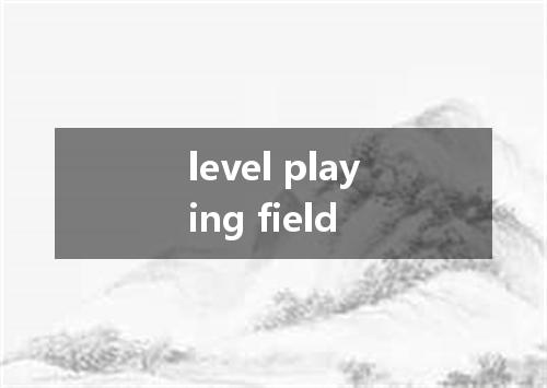 level playing field是什么意思