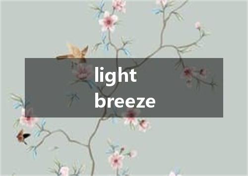 light breeze是什么意思