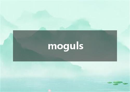 moguls是什么意思