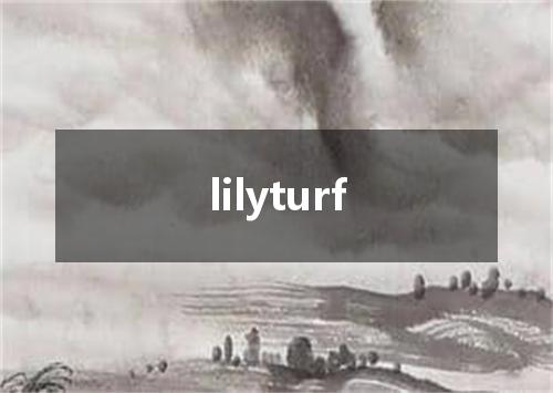 lilyturf是什么意思