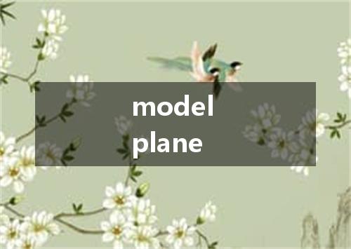 model plane是什么意思