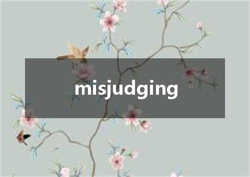 misjudging是什么意思