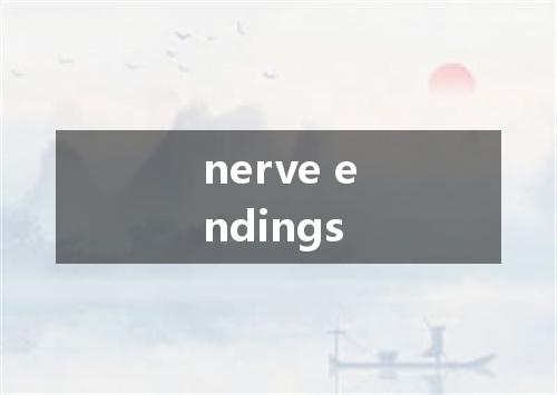 nerve endings是什么意思