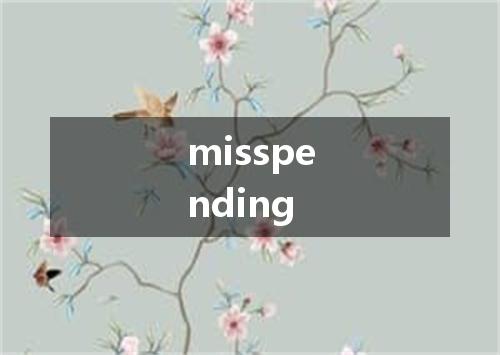 misspending是什么意思