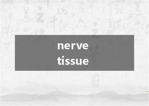 nerve tissue是什么意思