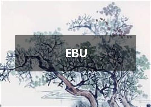 EBU是什么意思