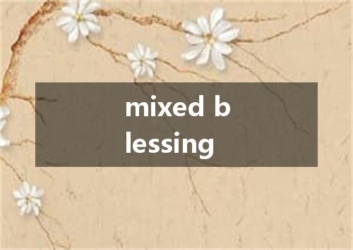 mixed blessing是什么意思