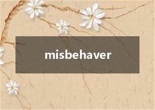 misbehaver是什么意思