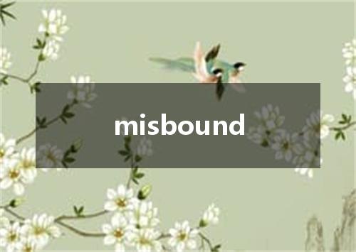 misbound是什么意思