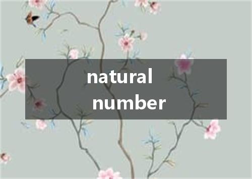 natural number是什么意思