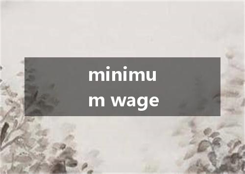 minimum wage是什么意思