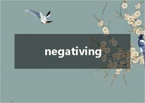 negativing是什么意思