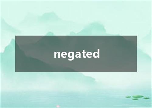 negated是什么意思