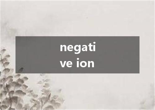 negative ion是什么意思