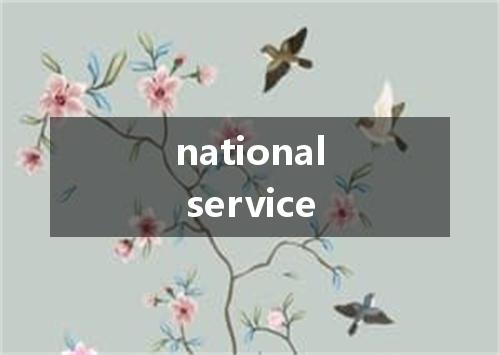 national service是什么意思