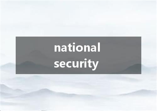 national security是什么意思