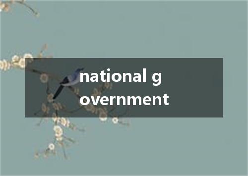 national government是什么意思