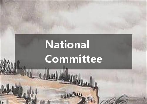 National Committee是什么意思