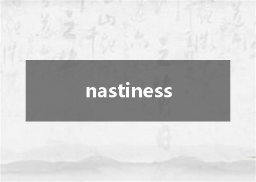 nastiness是什么意思