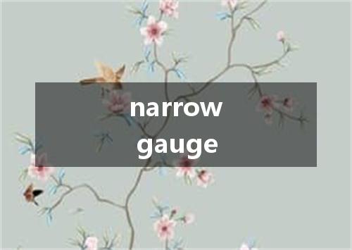 narrow gauge是什么意思