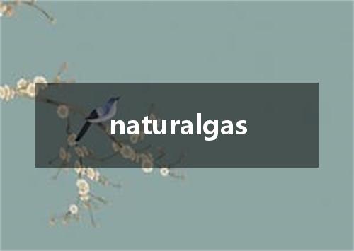 naturalgas是什么意思