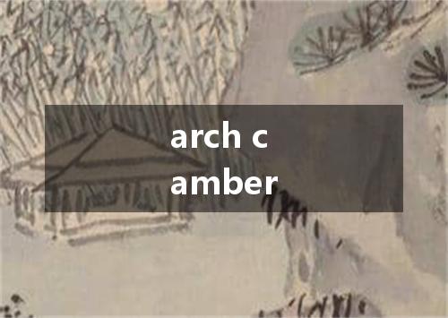 arch camber是什么意思
