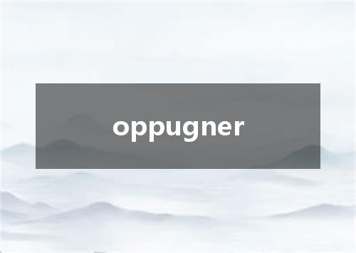 oppugner是什么意思