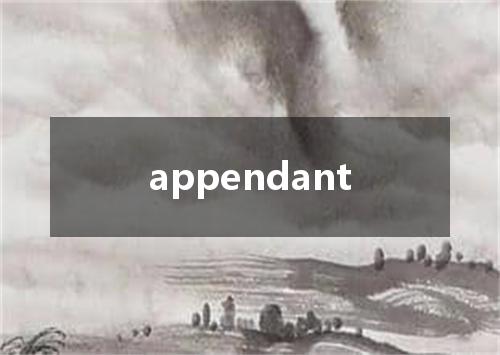appendant是什么意思