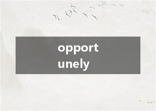 opportunely是什么意思