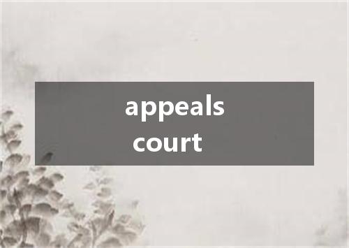 appeals court是什么意思