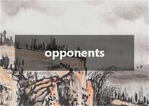 opponents是什么意思