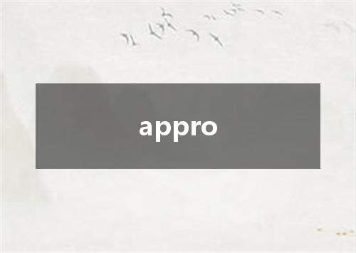 appro是什么意思