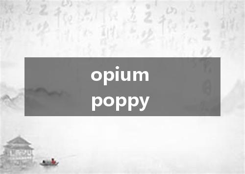 opium poppy是什么意思