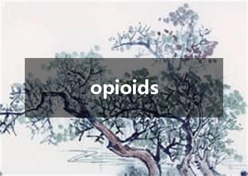 opioids是什么意思
