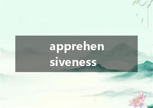 apprehensiveness是什么意思