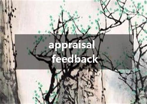 appraisal feedback是什么意思
