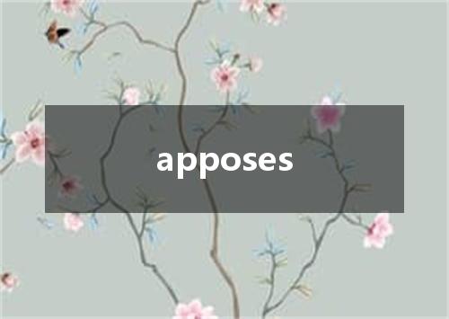 apposes是什么意思