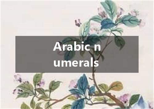 Arabic numerals是什么意思
