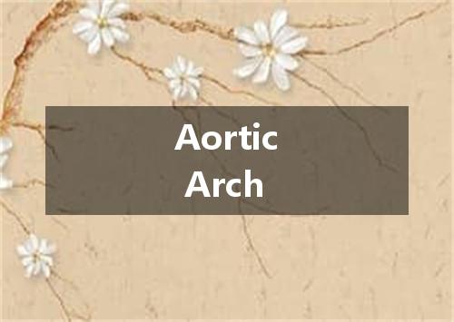 Aortic Arch是什么意思