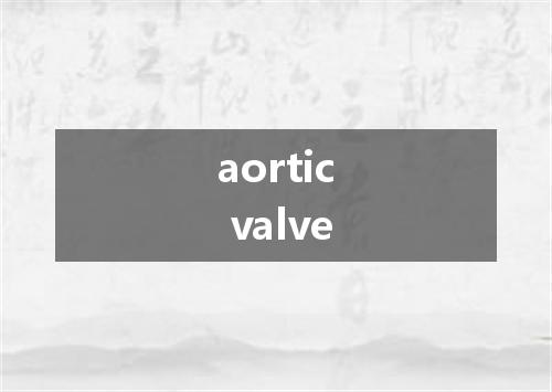 aortic valve是什么意思
