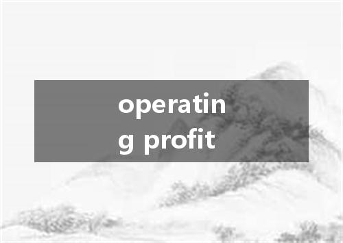 operating profit是什么意思