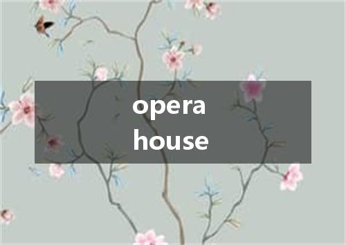 opera house是什么意思