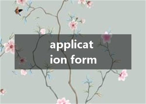 application form是什么意思
